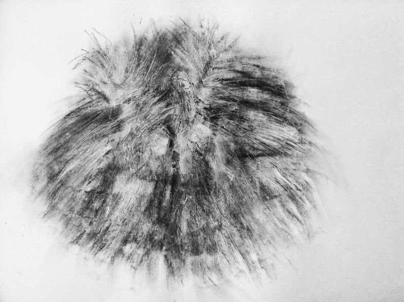 it's definitely fur! AM