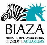 biaza