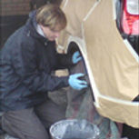 Alloy repairs