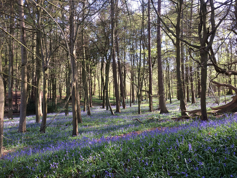 Small-to-Medium Businesses - the economy's foot soldiers