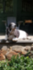 20200817_144936.jpg