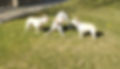 20200130_123807_edited_edited_edited.jpg