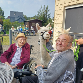 Seniorin und Senior sitzen im Außenbereich des AWO „Rennsteigschlösschen“ in Ernstthal neben einem weißen Alpaka. Im Hintergrund beobachten weitere Bewohnerinnen und Bewohner den tierischen Besuch.
