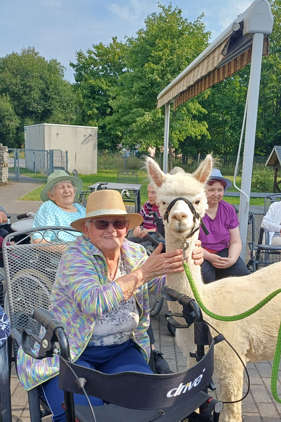 Eine Seniorin streichelt im Gartenbereich des AWO „Rennsteigschlösschen“ ein weißes Alpaka. Weitere Bewohnerinnen und Bewohner sitzen im Hintergrund und verfolgen den Besuch.