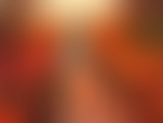 Transitioning into Fall