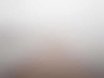 Live the Questions Now!