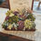 Thumbnail: Cigar Box Succulents
