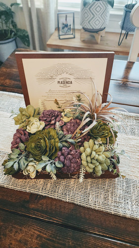 Cigar Box Succulents | AllThingsRedesigned