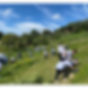APÓYANOS.png