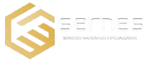 Publicaciones SERNES (2).png