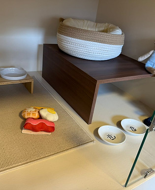 WhatsApp Image 2025-10-28 at 8.13.34 AM (9).jpeg