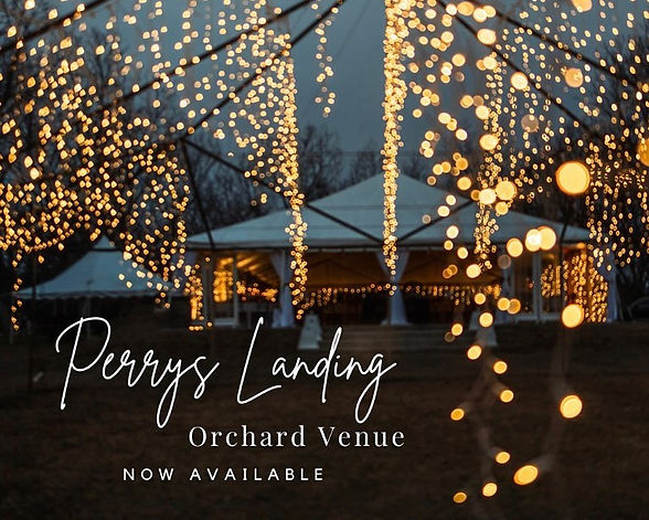 orchard 5.jpg