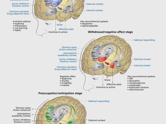 It is time to put the patient at the center of addiction treatments.