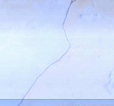 concret_button_edited_edited.png