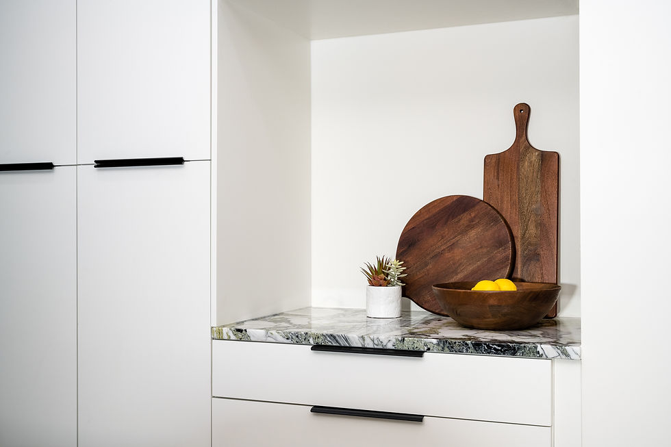Mid-Century Kitchen Remodel