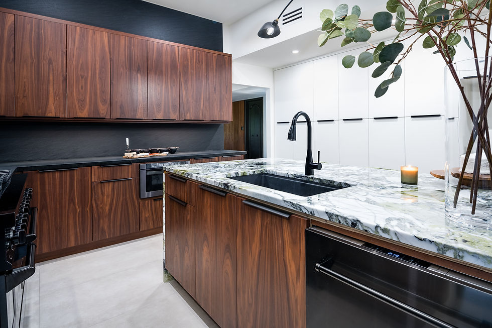 Mid-Century Kitchen Remodel