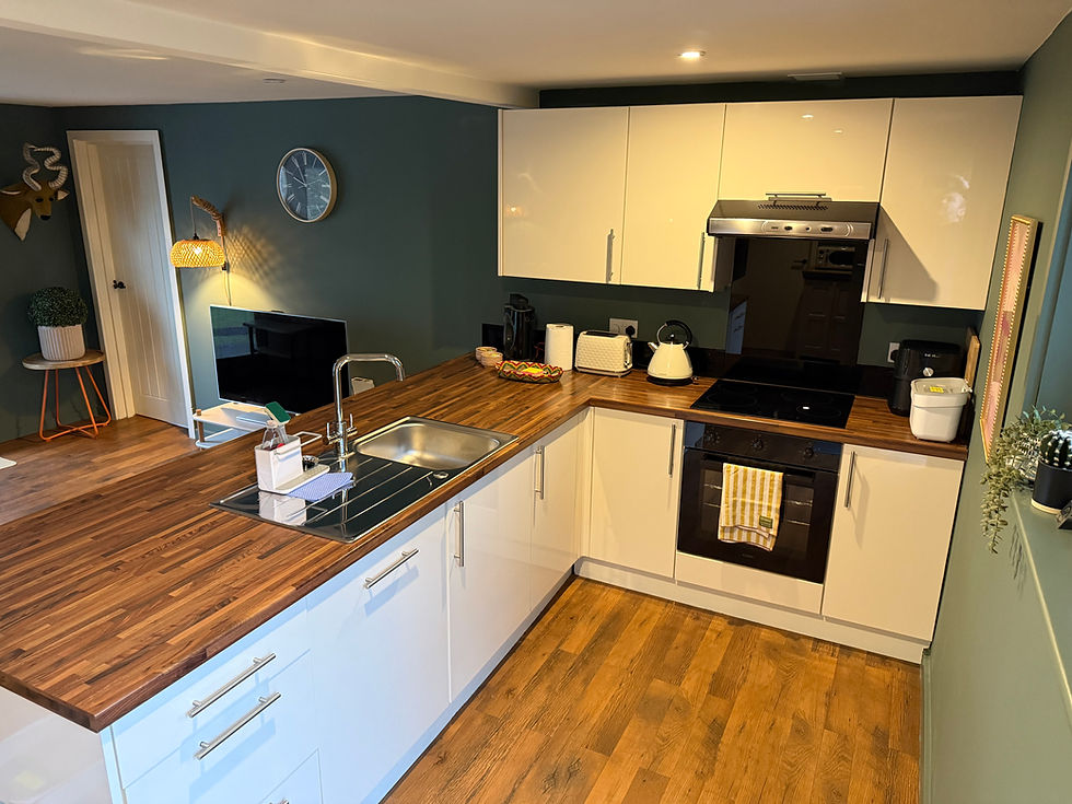 Main Lounge Kitchen 5