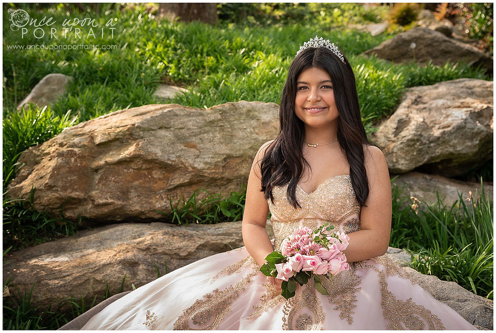 Falls Park Quinceañera 15 sweet sixteen 16 princess ballgown