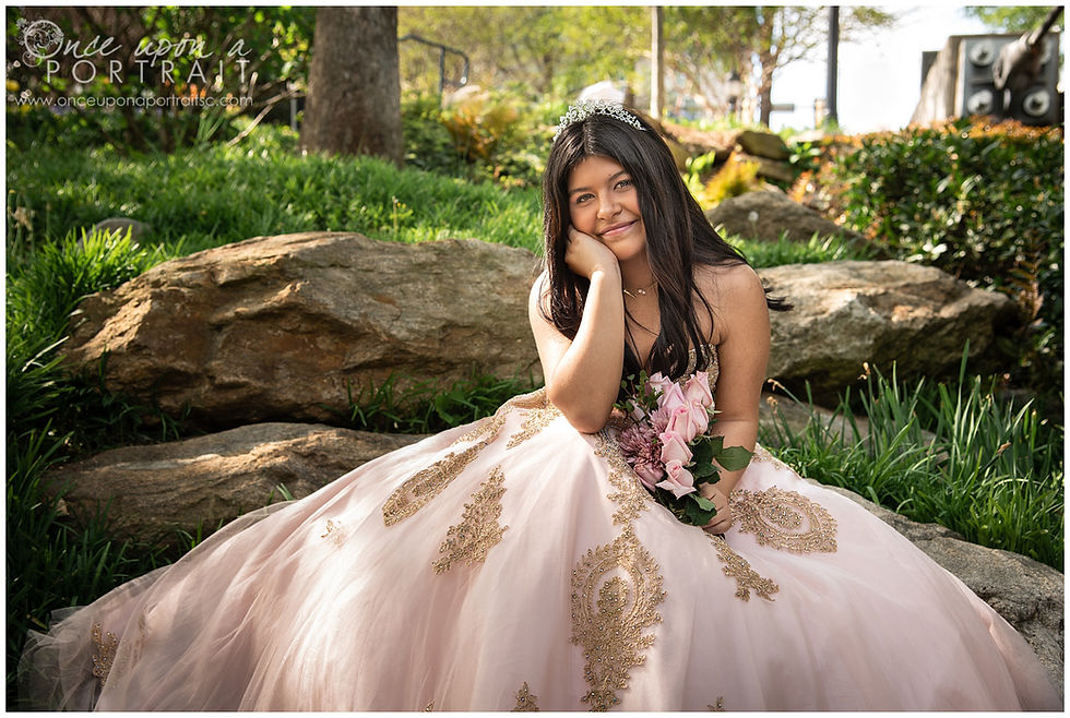 Falls Park Quinceañera 15 sweet sixteen 16 princess ballgown bouquet tiara