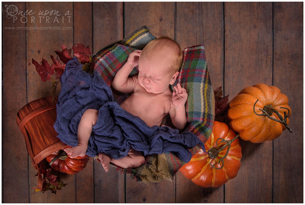 fall theme newborn session baby boy pumpkin orange studio basket