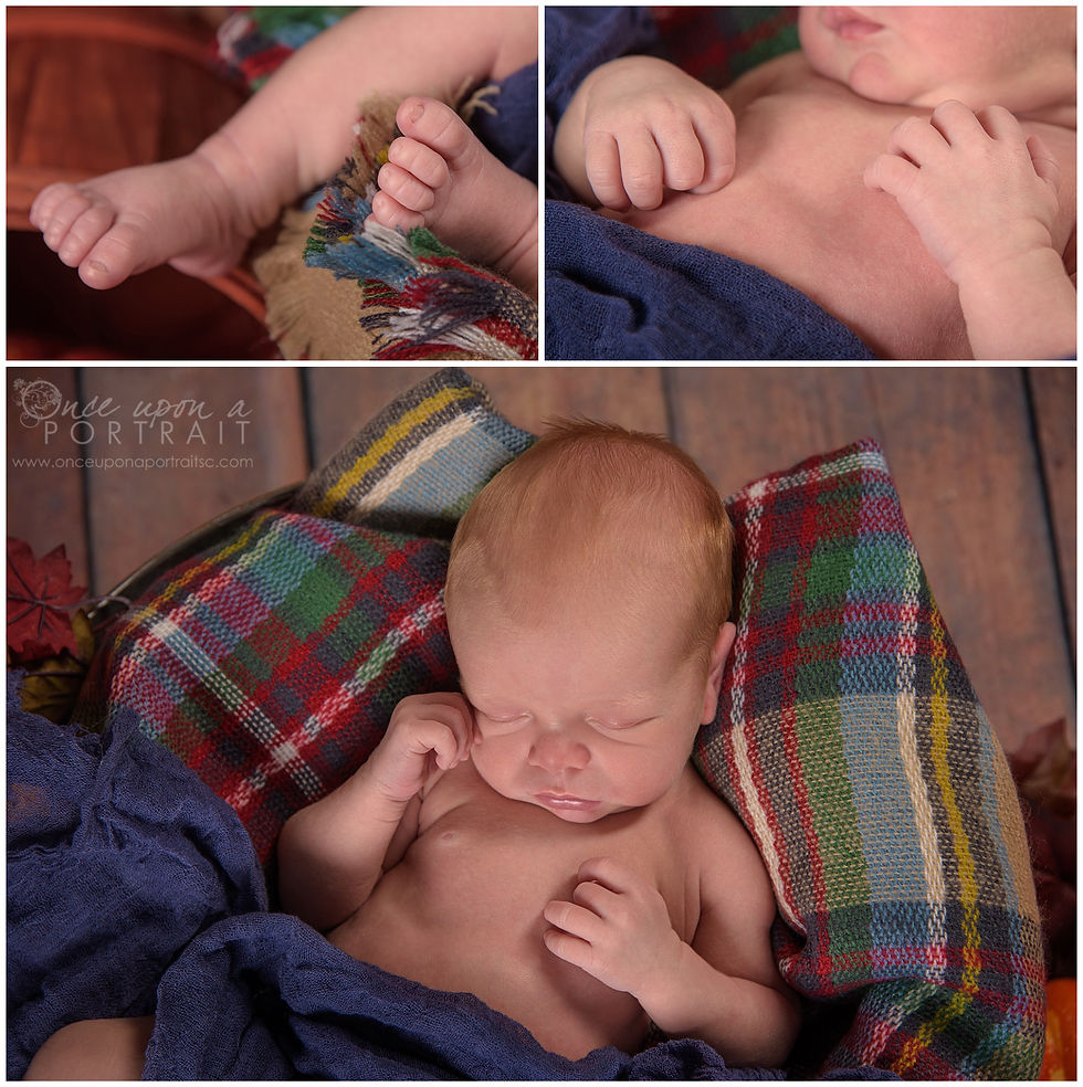 fall theme newborn session baby boy pumpkin orange studio hands feet