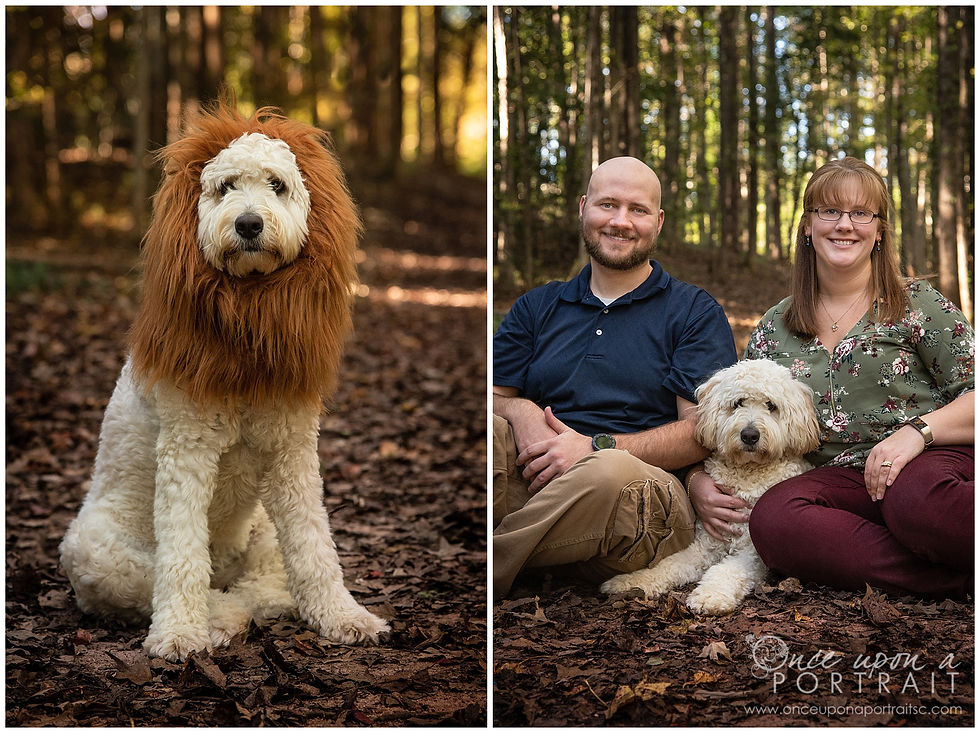 Furman University family photos dog pet fall halloween cute
