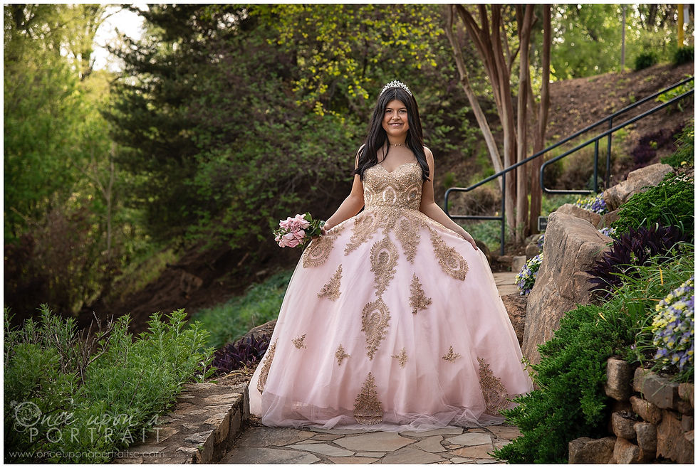 Falls Park Quinceañera 15 sweet sixteen 16 princess ballgown bouquet tiara beautiful pink