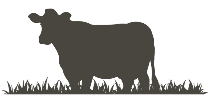 Allie Buck Cow.png