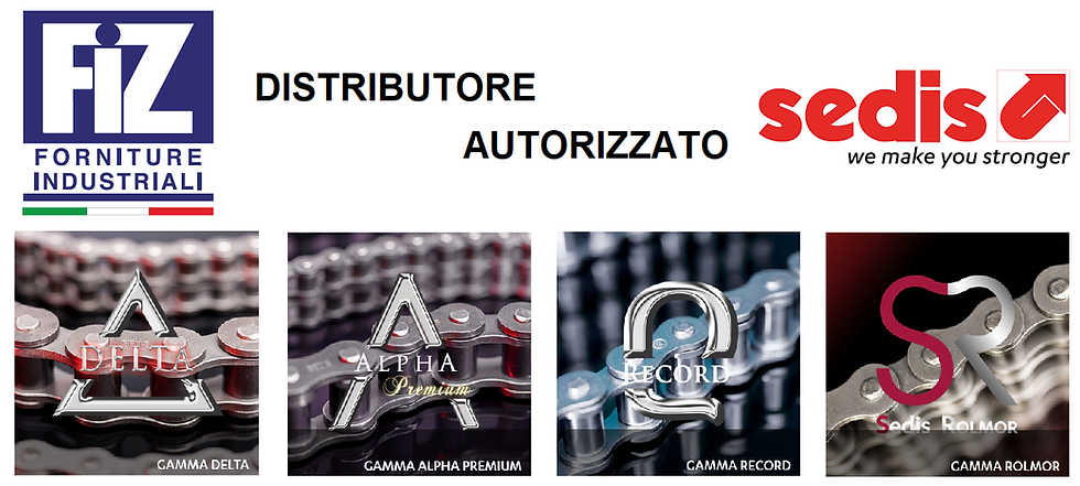 Sedis distributore autorizzato catene gamma delta gamma alpha premium gamma record gamma rolmor | FIZ Srl forniture industriali Verona