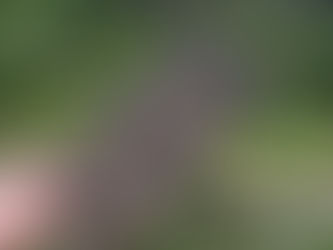 Hurricane-Force Winds Cause Widespread Damage across Houston