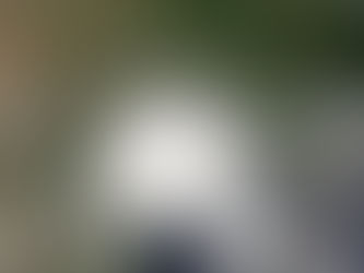 Houston Roofers' Guide: Preparing Your Roof for Hurricane Season