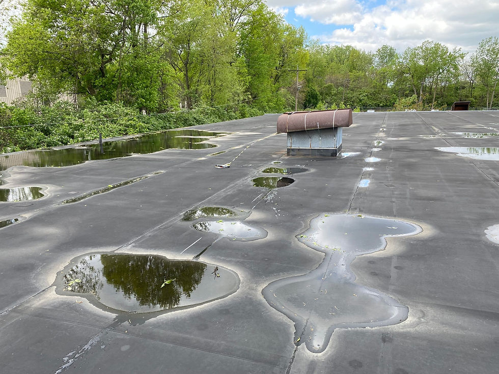 flat roof repair in houston company