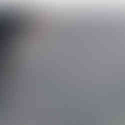 when does my insurance send someone out roof claim adjuster