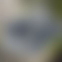 Roofing and Solar Services in Houston & Austin