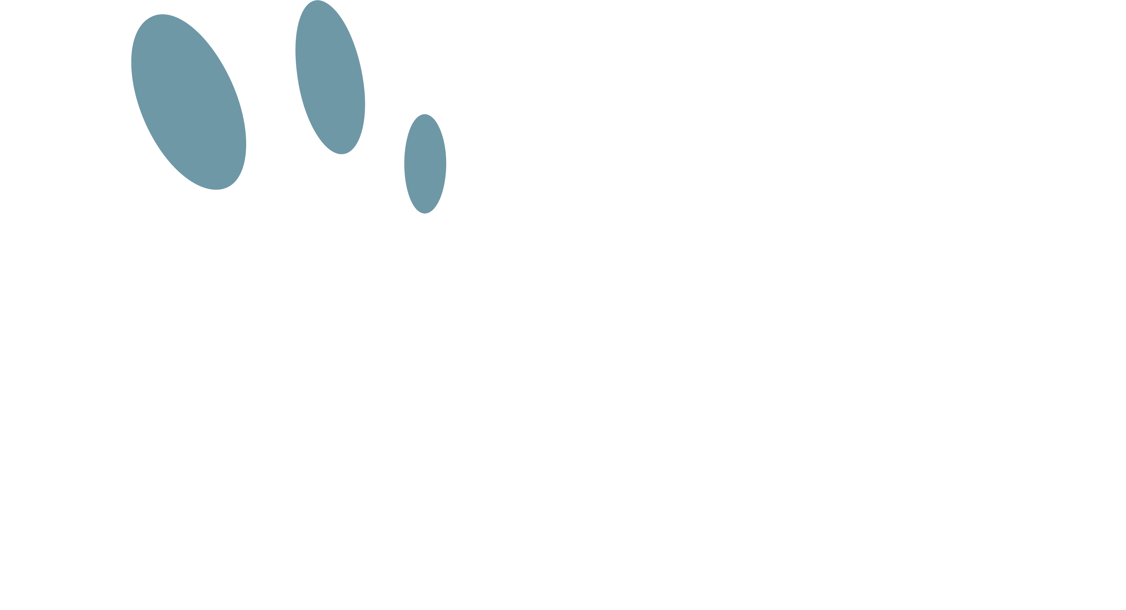 iapst SMALL PNG.png