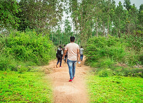Plantation Walk - Homestay in Sakleshpur.jpeg