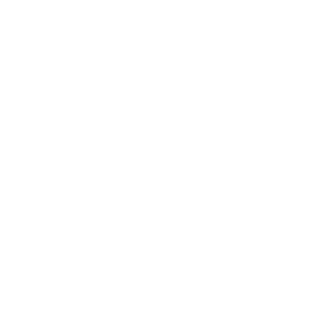 MSI_Accueil_Logo_BL.png