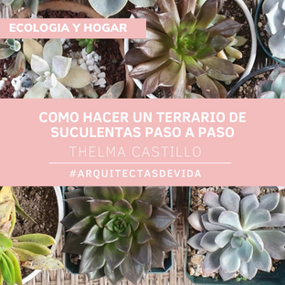 COMO HACER UN TERRARIO DE SUCULENTAS PASO A PASO