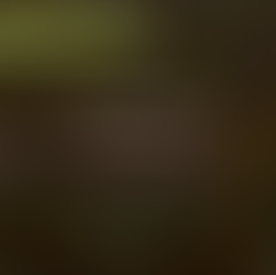 Pizza Casera Paso a Paso 