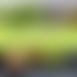 COMPRAS DE MANERA FÁCIL Y NUTRITIVAS 