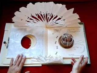 #11Libro de artista