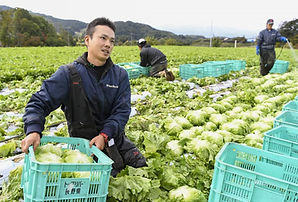 Agriculture-innovating.jpg