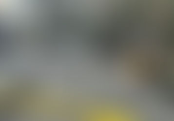 BALACERA CAUSA PÁNICO EN PLAZA DE ZAPOPAN |