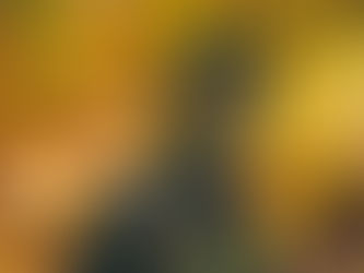 👉 SECRETARIA DE CULTURA AFIRMA QUE XANTOLO YA ESTA LISTO |