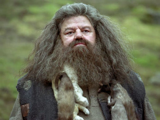 FALLECE ROBBIE COLTRANE, FAMOSO ACTOR QUE DIO VIDA AL ENTRAÑABLE “HAGRID” EN LA SAGA DE HARRY POTTER