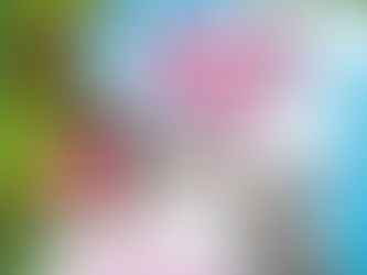 “Timoteo y Mafalda” se encontrarán en San Luis Capital |