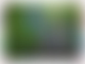 ENCANTO DE SLP SE EXPONDRÁ EN EL TIANGUIS DE PUEBLOS MÁGICOS EN OAXACA |