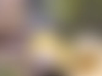 Incautan en Colombia 63 kilos de cocaína dentro de piñas con destino a España |