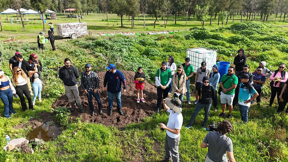 Reforestan el Parque Tangamanga I con más de 600 árboles |