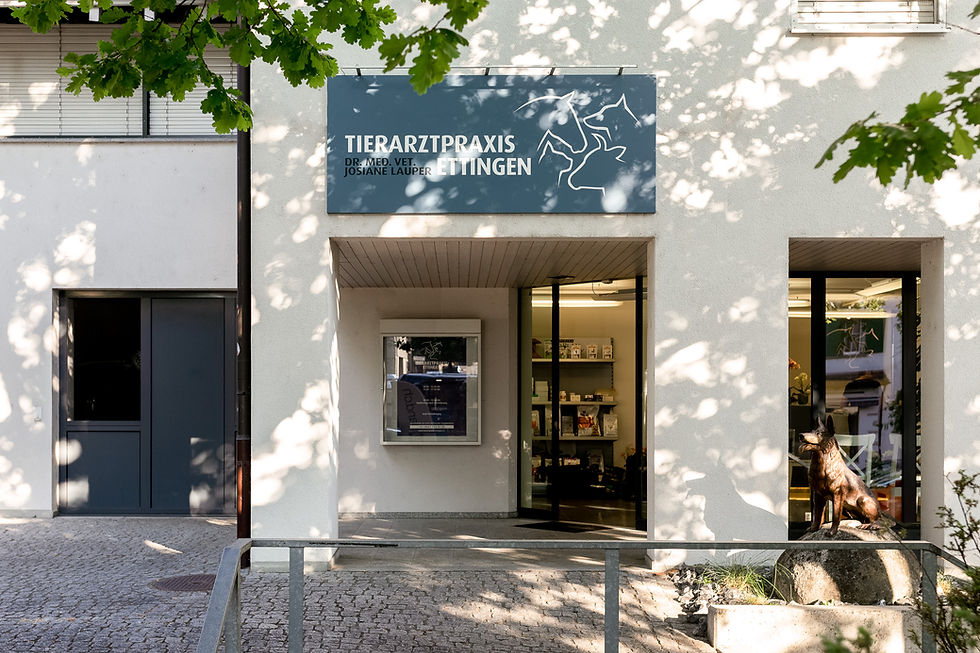 Tierarztpraxis_Ettingen_web-25.jpg